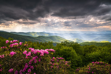 Asheville NC Craggy Gardens Scenic Overlook Photography