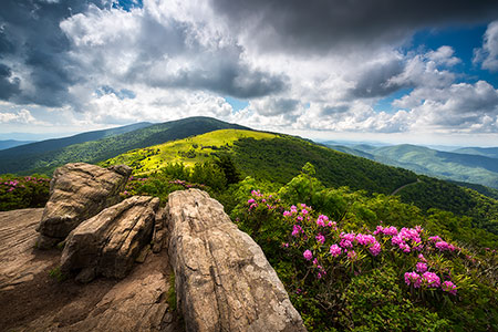 Blue Ridge Mountains Spring Landscape Canvas