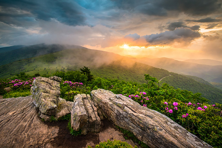 Roan Mountain Appalachian Trail Scenic Landscape Photography Prints