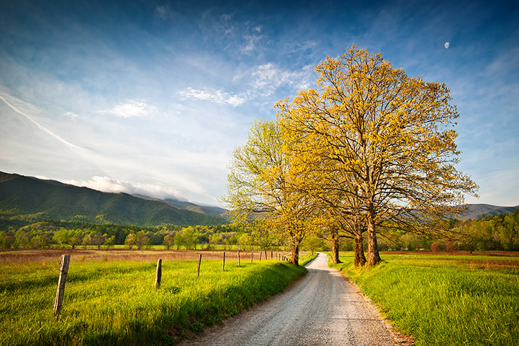 Scenic Cades Cove Great Smoky Mountains Photography Prints