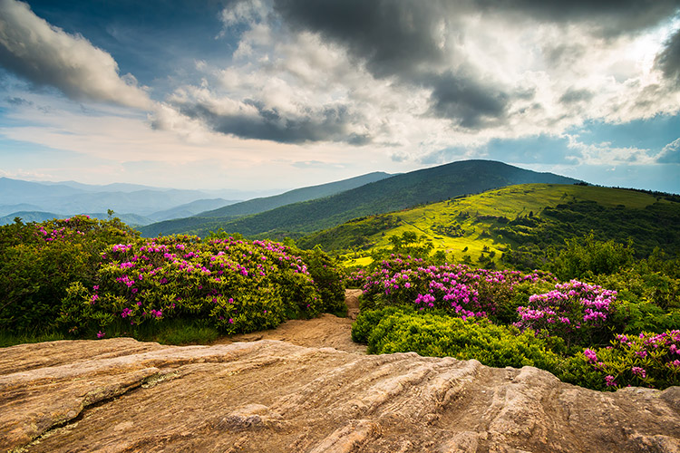 Southern Appalachian Trail Scenic Mountains Landscape Print