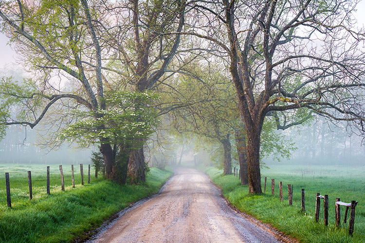 Scenic Dirt Road Cades Cove Smoky Mountains Photography Prints