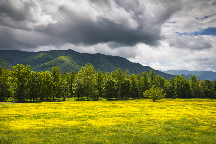 Cades Cove Fields Smoky Mountains National Park Photography