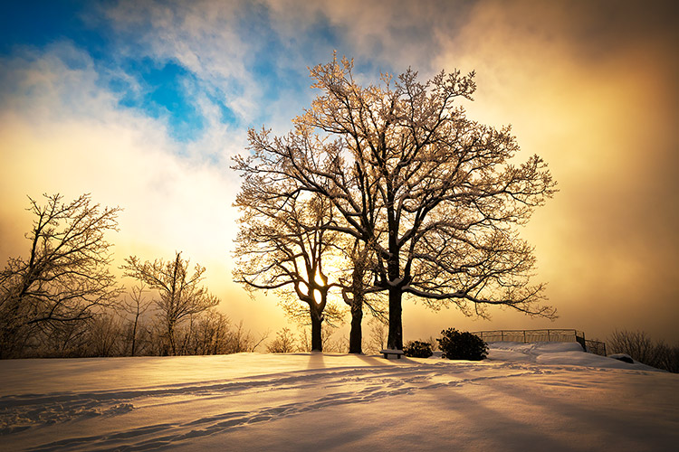 Hendersonville NC Jump Off Rock Winter Snow Oak Trees Sunset Landscape Photography Print