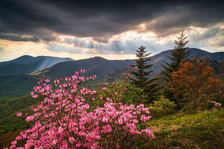 Asheville NC Mountains Landscape Photography Print