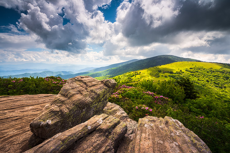Appalachian Trail North Carolina Mountains Landscape Photography Print