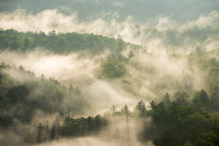 Mountain Peaks In Fog Highlands NC Scenic Landscape Photo Print