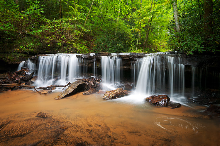 Waterfall Photography Saluda NC Pearsons Falls Nature Photography Print