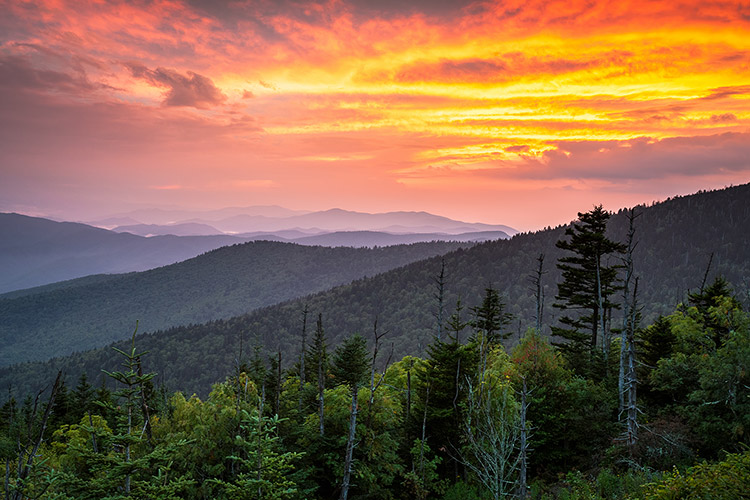 Clingmans Dome Sunset Great Smoky Mountains Photo Prints