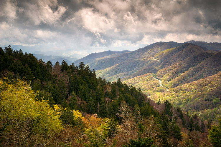 Great Smoky Mountains Fine Art Print