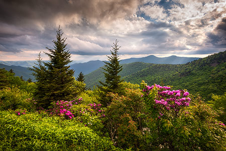 North Carolina Blue Ridge Parkway Spring Landscape Photography