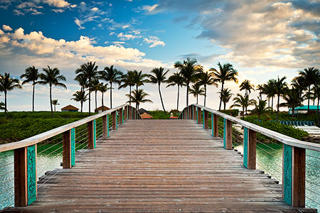 Beach Photography Paradise Island Bahamas Palm Trees Bridge