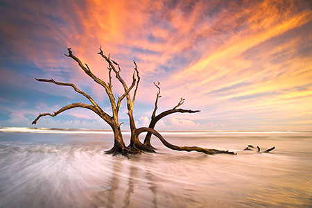 Folly Beach Charleston SC Landscape Photograph