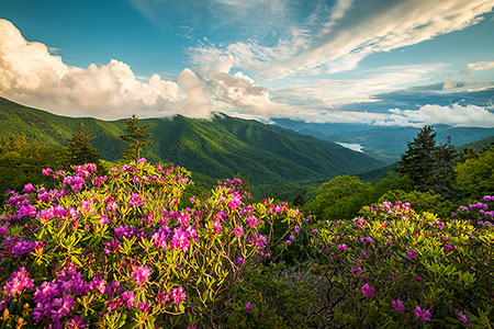 Mt Mitchell North Carolina Blue Ridge Mountains Scenic Outdoor Photography