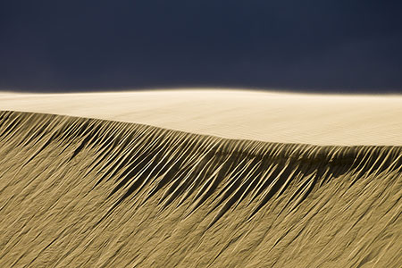 Outer Banks Jockeys Ridge Sand Dunes Photography OBX NC