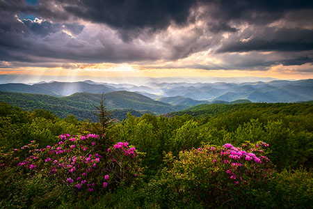 Asheville NC Blue Ridge Mountains Spring Flowers Landscape