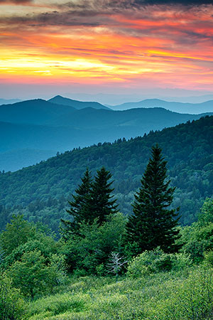 Blue Ridge Mountains NC Summer Sunset Landscape