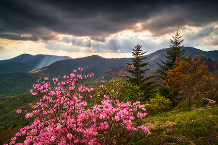 Asheville NC Blue Ridge Mountains Landscape Photography