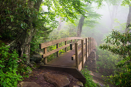 Blue Ridge Mountains Hiking Trail Bridge at Rough Ridge Photography