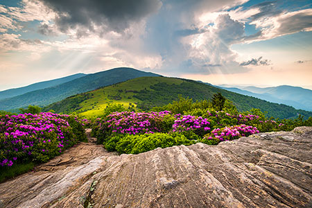 Roan Mountain Scenic Appalachian Fine Art Landscape Photography