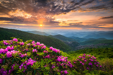 Asheville NC Craggy Gardens Scenic Overlook Photography