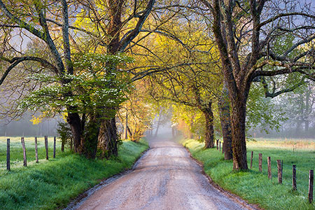 Cades Cove Photo Locations Great Smoky Mountains TN