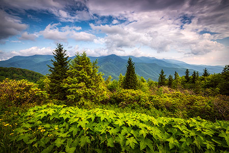 Asheville Blue Ridge Mountains Mt Mitchell Scenic Landscape Photography