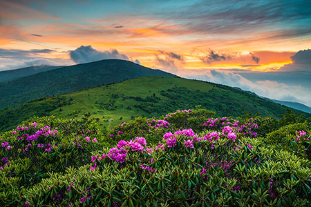 Roan Mountain Tennessee Appalachian Trail Scenic Sunset Landscape