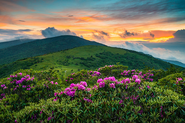 Roan Mountain Tennessee Appalachian Trail Scenic Sunset Landscape Prints