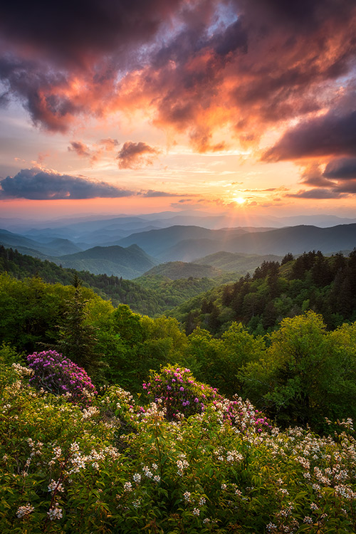 Great Smoky Mountains Spring Blooms Scenic Landscape Prints