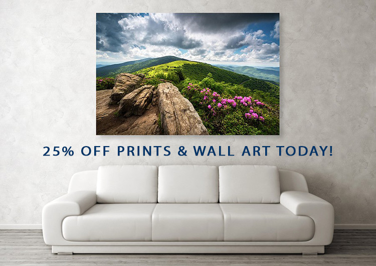 black friday print sale